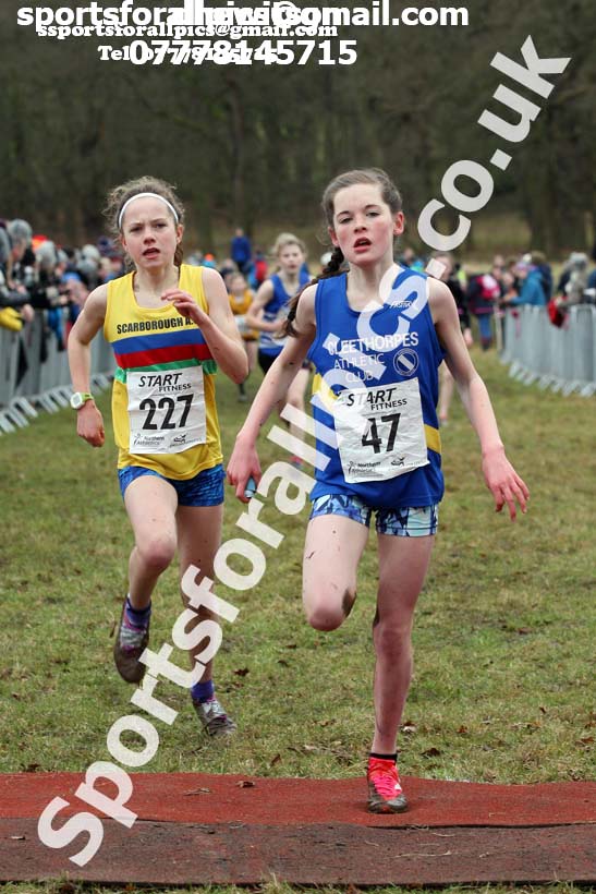 Girls under-13s, 2018 Northern Cross Country Champs., Harewood House, Leeds. Photo: David T. Hewitson/Sports for All Pics